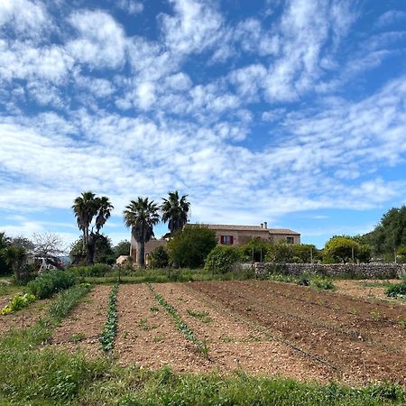 Finca Hotel Ses Cases Noves Sant Llorenc Des Cardassar Bagian luar foto
