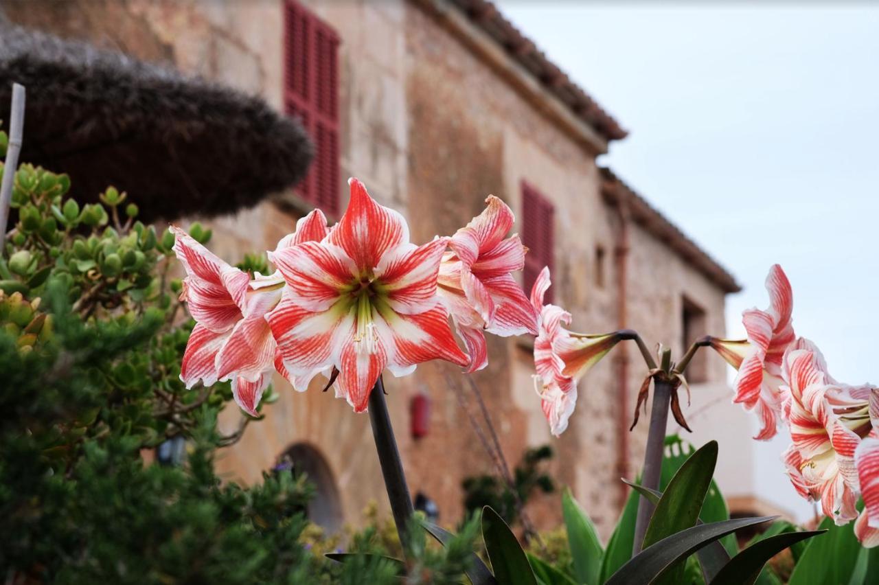 Finca Hotel Ses Cases Noves Sant Llorenc Des Cardassar Bagian luar foto