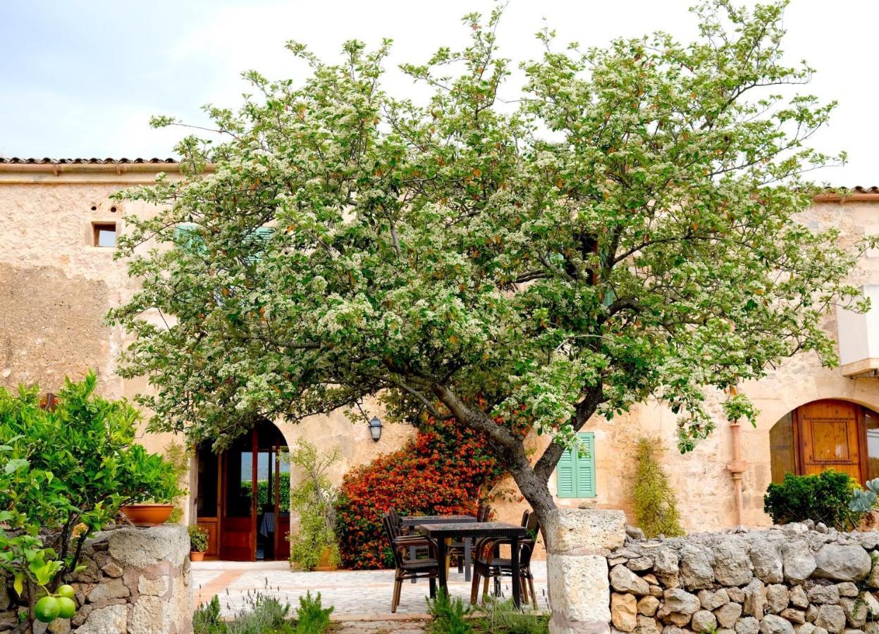 Finca Hotel Ses Cases Noves Sant Llorenc Des Cardassar Bagian luar foto